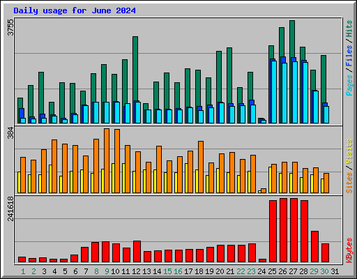 Daily usage for June 2024