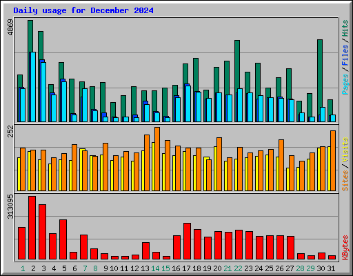 Daily usage for December 2024