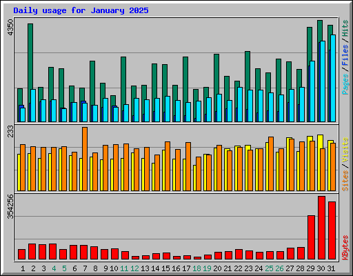 Daily usage for January 2025