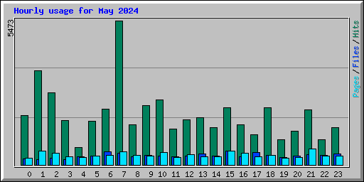 Hourly usage for May 2024