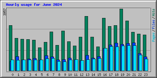 Hourly usage for June 2024