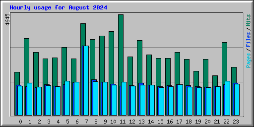 Hourly usage for August 2024