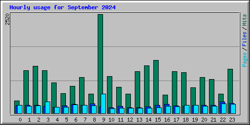 Hourly usage for September 2024