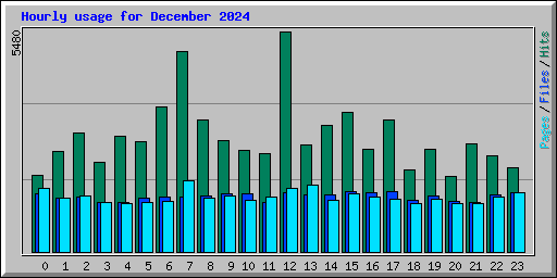 Hourly usage for December 2024