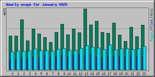 Hourly usage for January 2025
