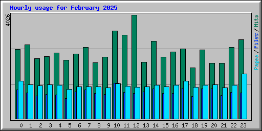 Hourly usage for February 2025