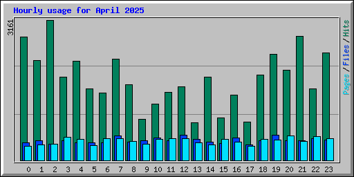 Hourly usage for April 2025