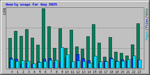 Hourly usage for May 2025
