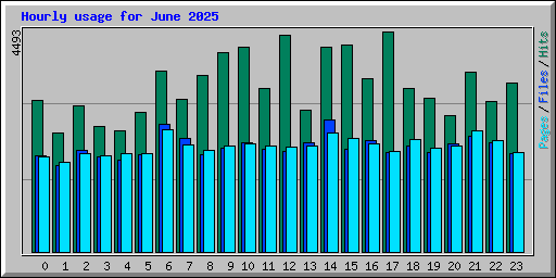 Hourly usage for June 2025