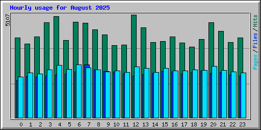Hourly usage for August 2025