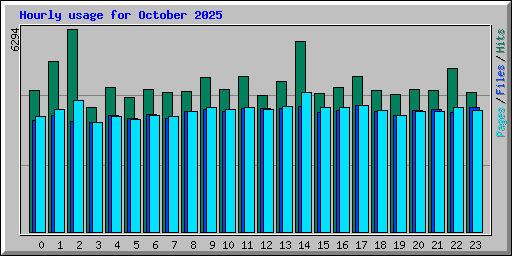 Hourly usage for October 2025