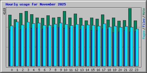 Hourly usage for November 2025