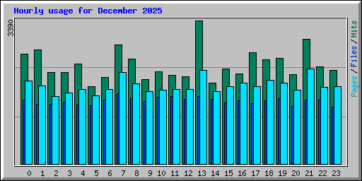 Hourly usage for December 2025