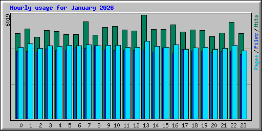 Hourly usage for January 2026