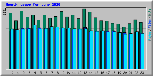 Hourly usage for June 2026