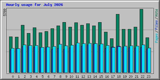 Hourly usage for July 2026