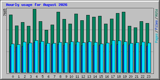 Hourly usage for August 2026